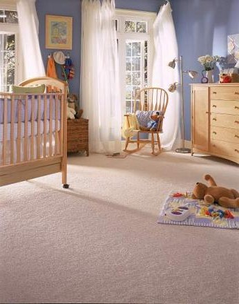 Baby safe carpet cleaning in Hamilton