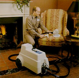 Upholstery cleaning in Hamilton