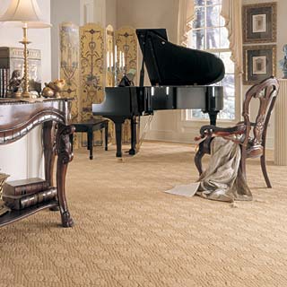 The best carpet cleaning method