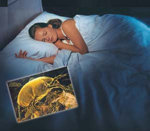 Mattress Cleaning for better health