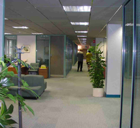 Fastest drying commercial carpet cleaning