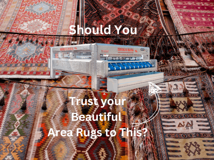 Safer Area Rug Cleaning Hamilton Ontario