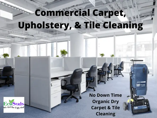 Commercial Host Dry Carpet Tile Upholstery Cleaning Hamilton Burlington Grimsby Ontario