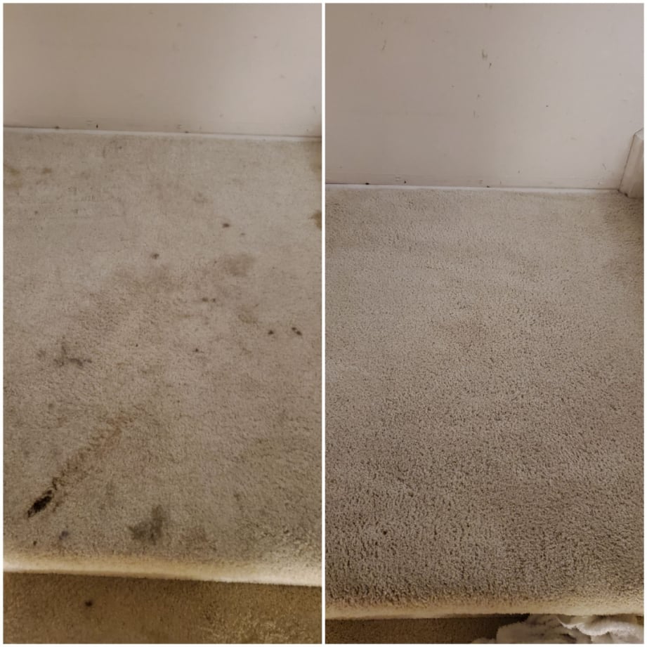 Carpet Cleaning Before After Burlington