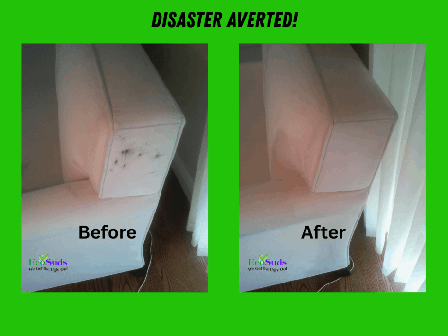 Upholstery Cleaning Before After Burlington