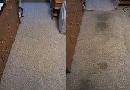 Carpet Cleaning Stain Before After Beamsville