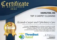 Three Best Rated Area Rug Cleaning Hamilton ON