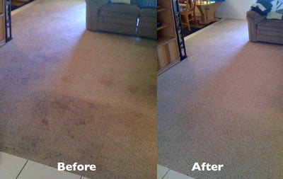 Carpet Cleaning Before After Grimsby