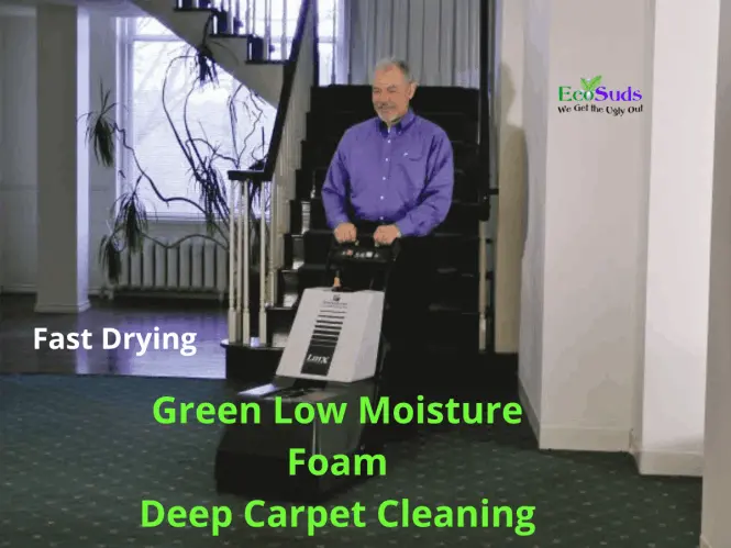 Fast Drying Carpet Cleaning in Hamilton and Burlington ON by Ecosuds
