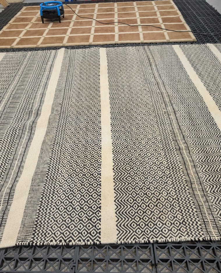 Flat Drying Rugs Cleaned at Ecosuds Hamilton Stoney Creek