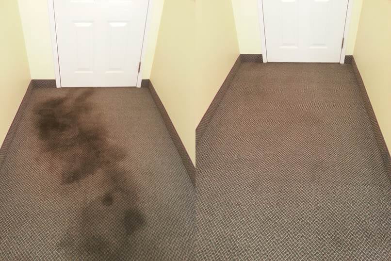 Carpet Cleaning Before After Hamilton