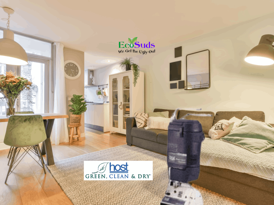 Burger Spill on rug with dog eating spill to be cleaned by Ecosuds Hamilton