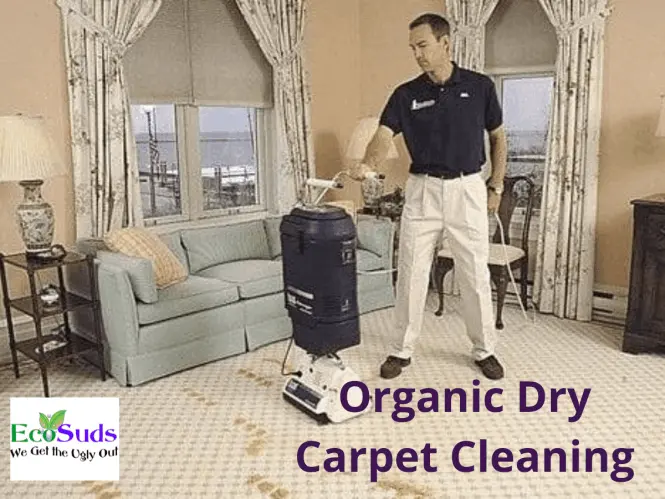 Dry Carpet Cleaning Hamilton Grimsby Beamsville Lincoln Vineland Ontario