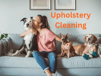 Woman and Pets need upholstery cleaning special in Hamilton
