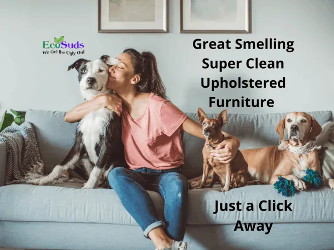 Green Upholstery Cleaning Hamilton Grimsby Beamsville Ontario